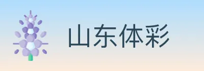 山东体彩 logo
